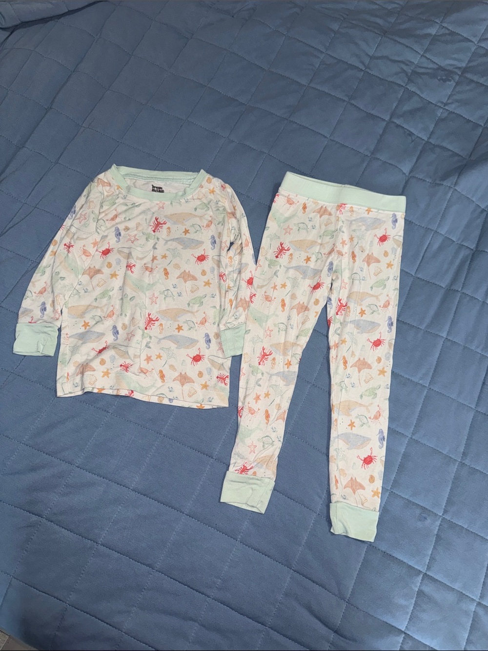 Kids' Sea Life Print Pajama Set - Light Mint Trim. 12-18 mo. GUC